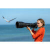 NIKON Z 800mm f6.3. VR S – 7
